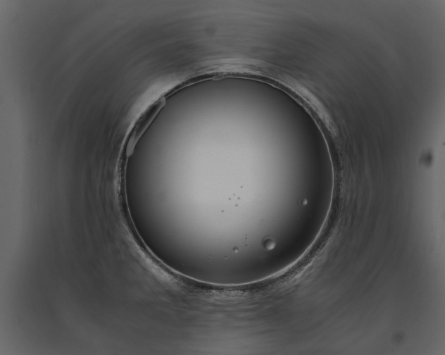 X0000091181285200708231520