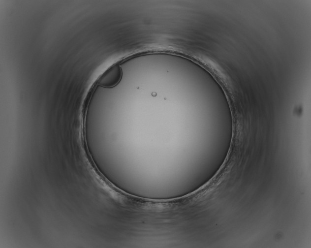 X0000091181286200708231520