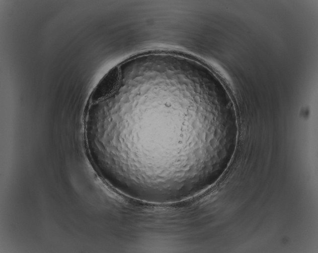 X0000091181287200708231520