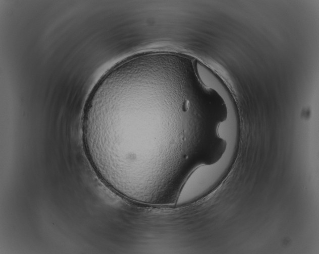 X0000091181288200708231520