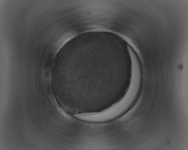 X0000091181289200708231520