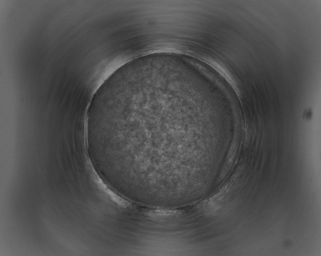 X0000091181290200708231520