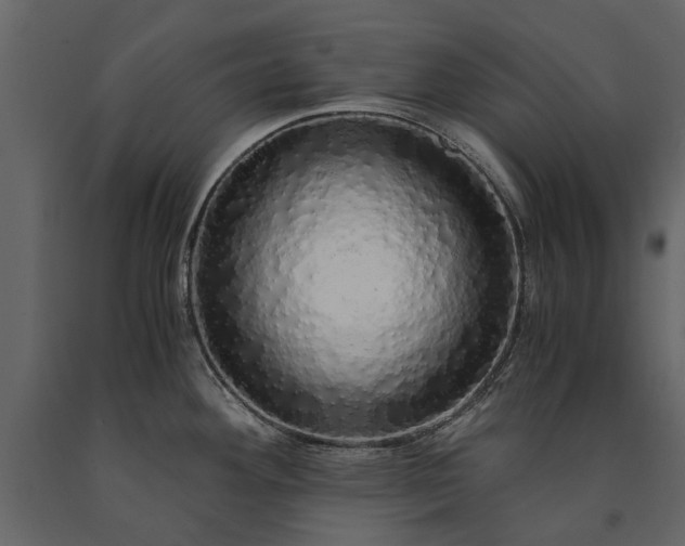 X0000091181292200708231520