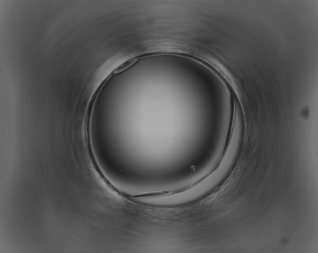X0000091181293200708231520