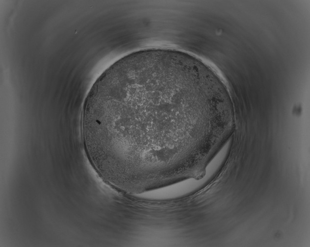 X0000091181295200708231520