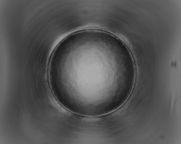 X0000091181296200708231520