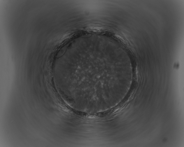 X0000091181297200708231519