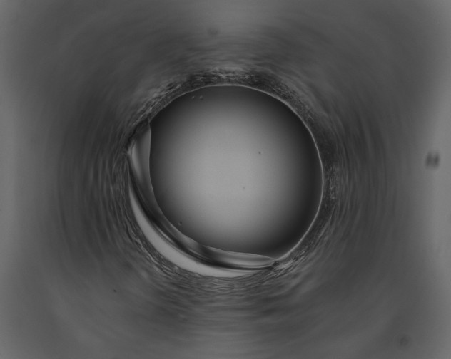 X0000091181298200708231519