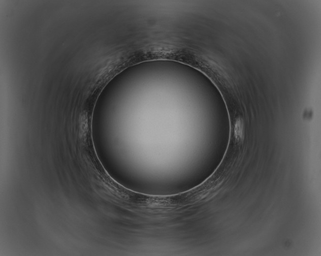 X0000091181299200708231519