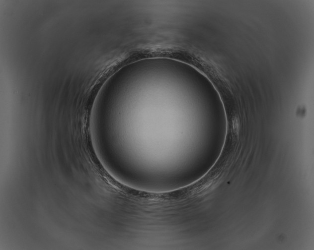 X0000091181300200708231519