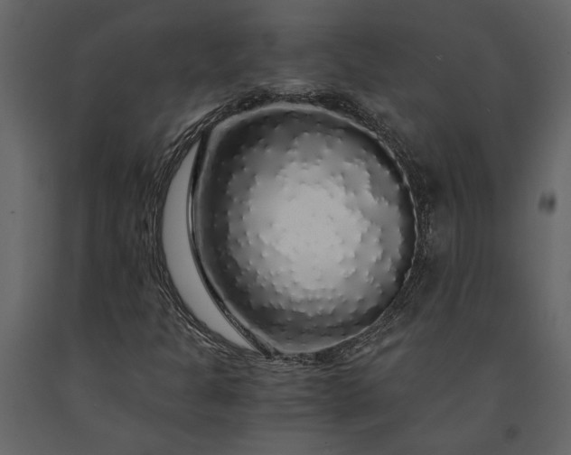 X0000091181301200708231519