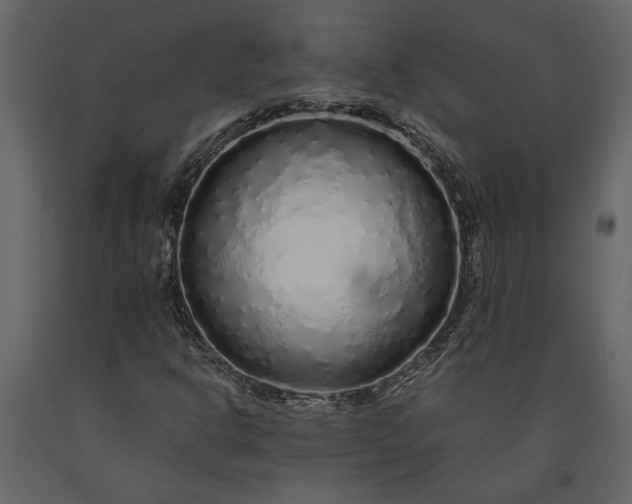 X0000091181302200708231519
