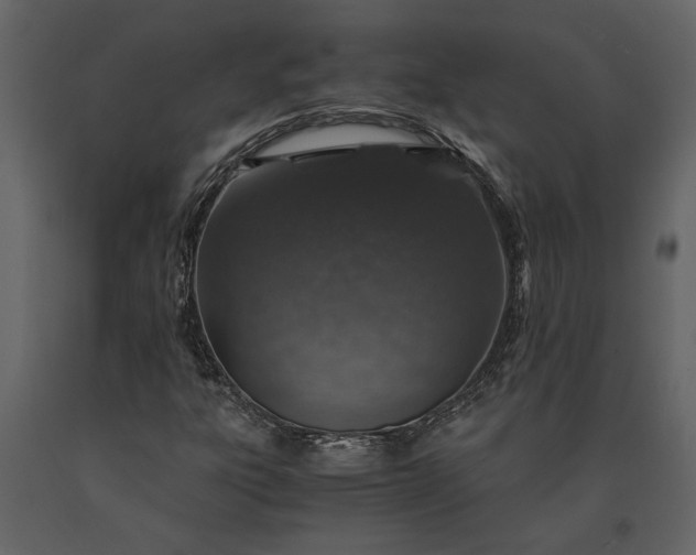 X0000091181303200708231519