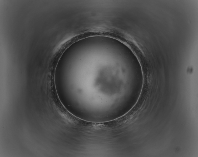 X0000091181304200708231519