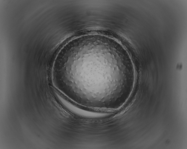 X0000091181305200708231519