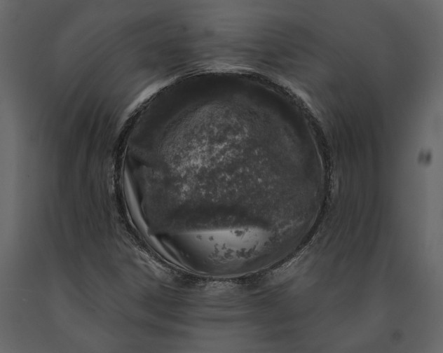 X0000091181306200708231519