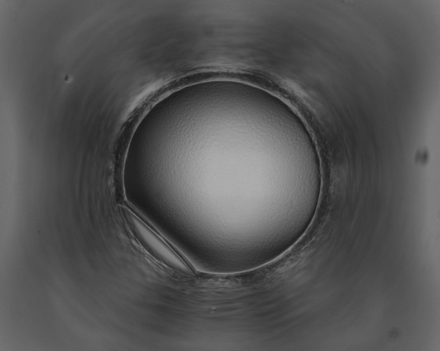 X0000091181307200708231519