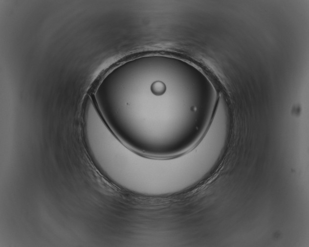 X0000091181308200708231519