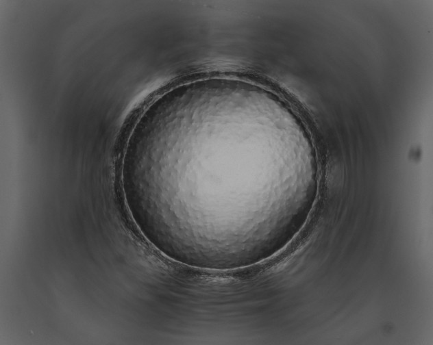 X0000091181309200708231519