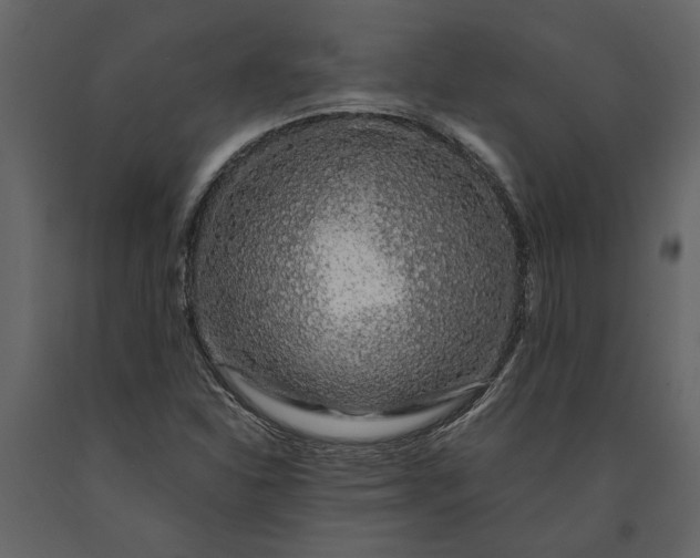 X0000091181310200708231519