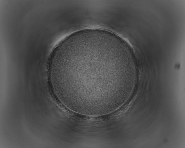 X0000091181311200708231519