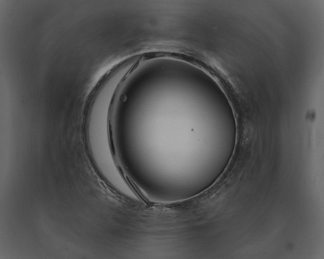 X0000091181312200708231519