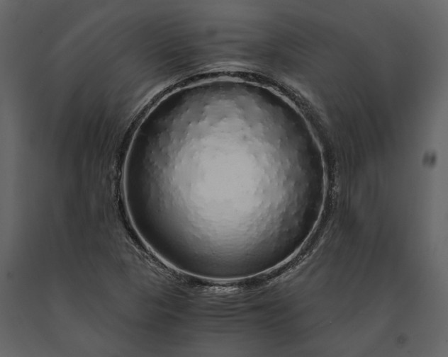 X0000091181313200708231519