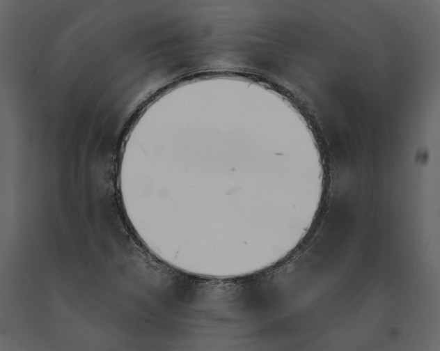 X0000091181314200708231519