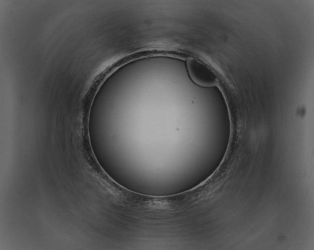 X0000091181315200708231519