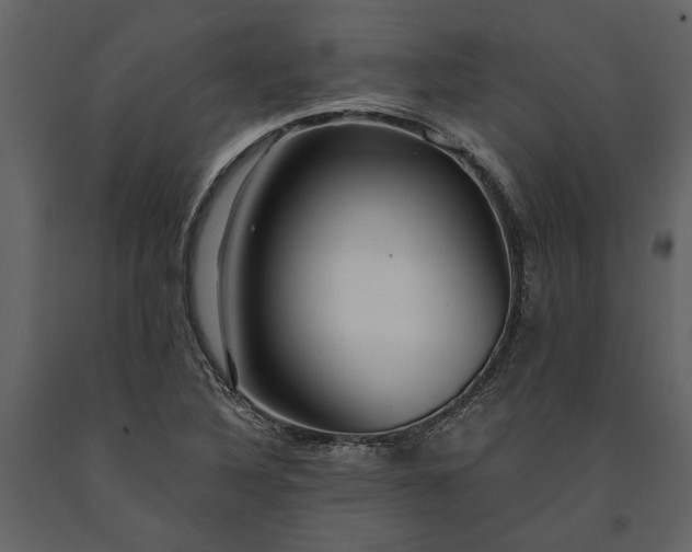 X0000091181316200708231519