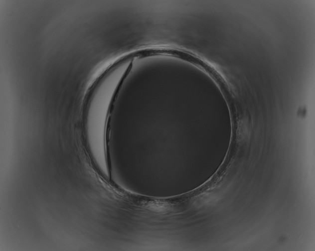 X0000091181319200708231519