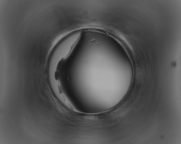 X0000091181320200708231519