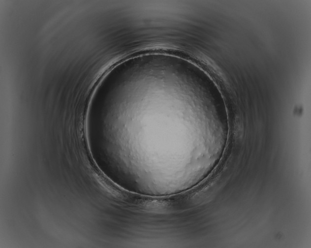 X0000091181321200708231519