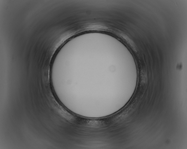 X0000091181322200708231519