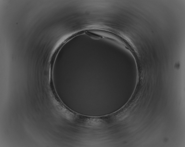 X0000091181323200708231519