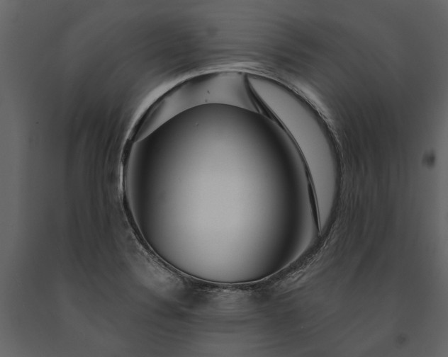 X0000091181324200708231520