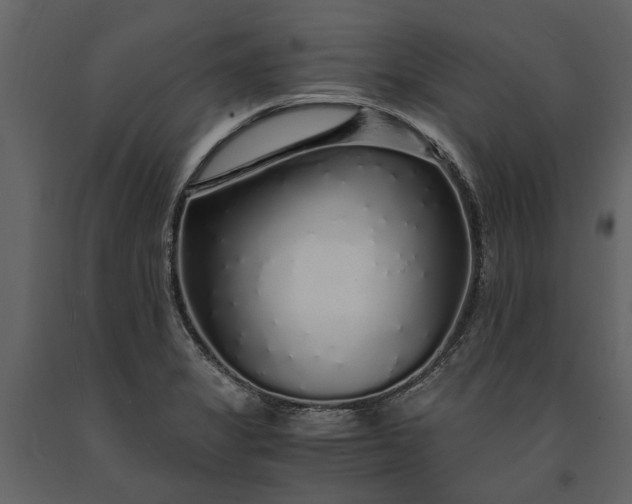 X0000091181325200708231520