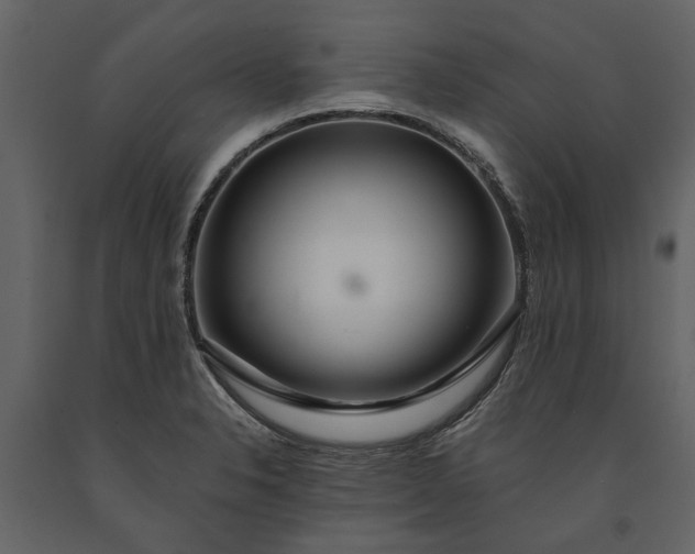 X0000091181326200708231520