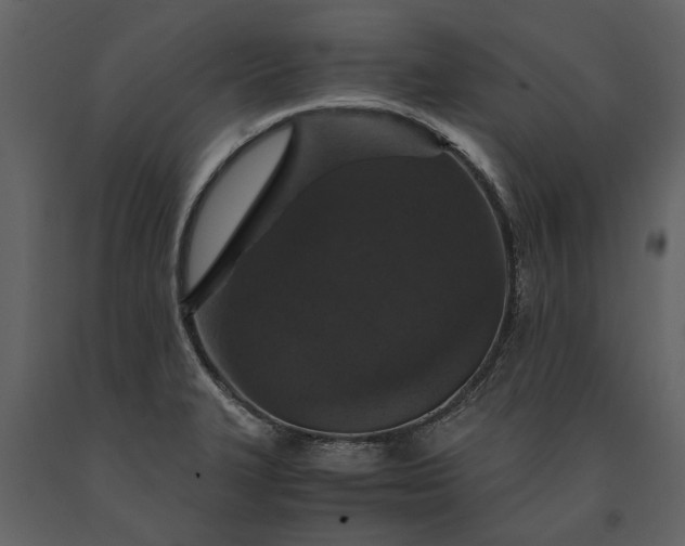 X0000091181327200708231520