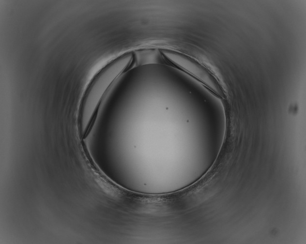 X0000091181328200708231520
