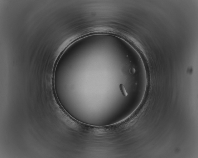 X0000091181330200708231520