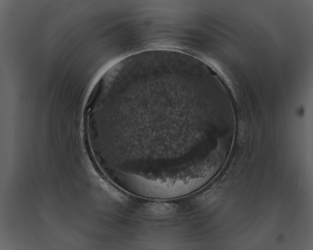 X0000091181331200708231520