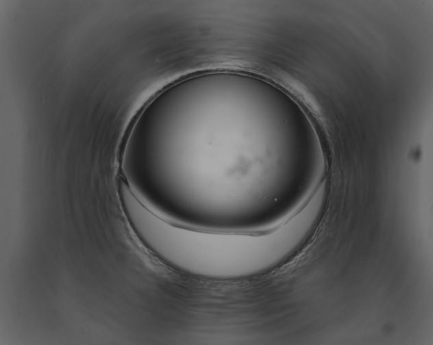 X0000091181332200708231520