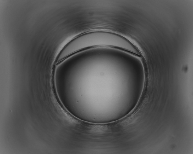 X0000091181333200708231520