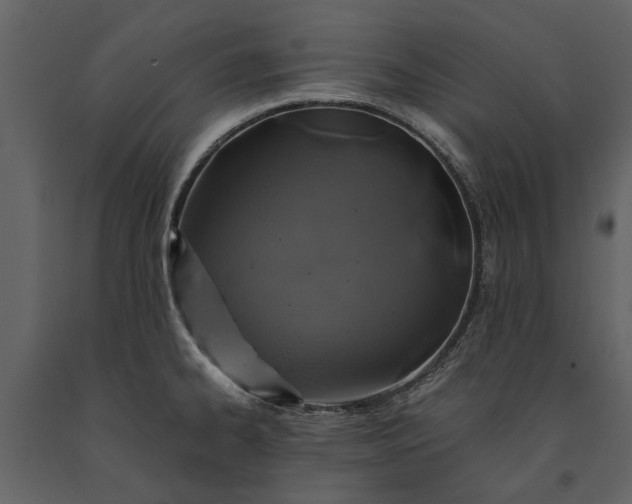 X0000091181334200708231520