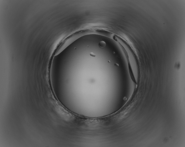 X0000091181336200708231520