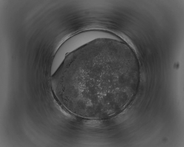 X0000091181337200708231520