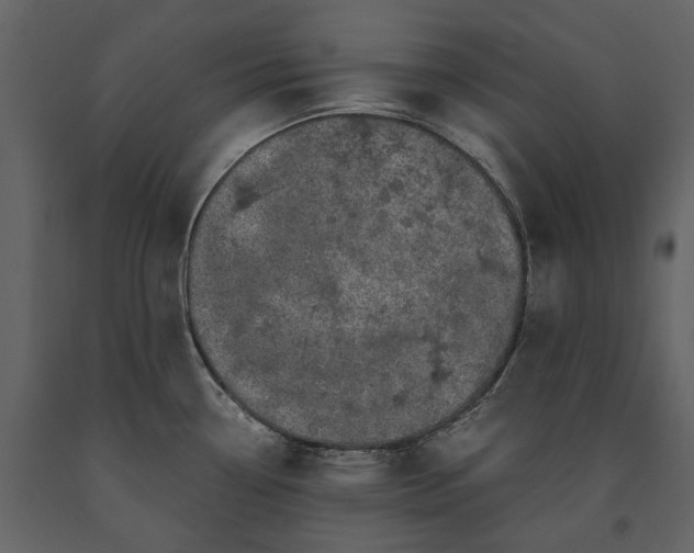 X0000091181338200708231520