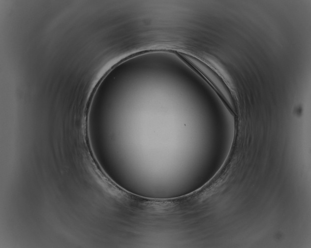 X0000091181340200708231520