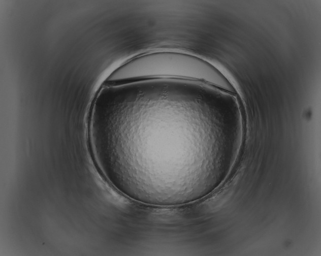 X0000091181341200708231520